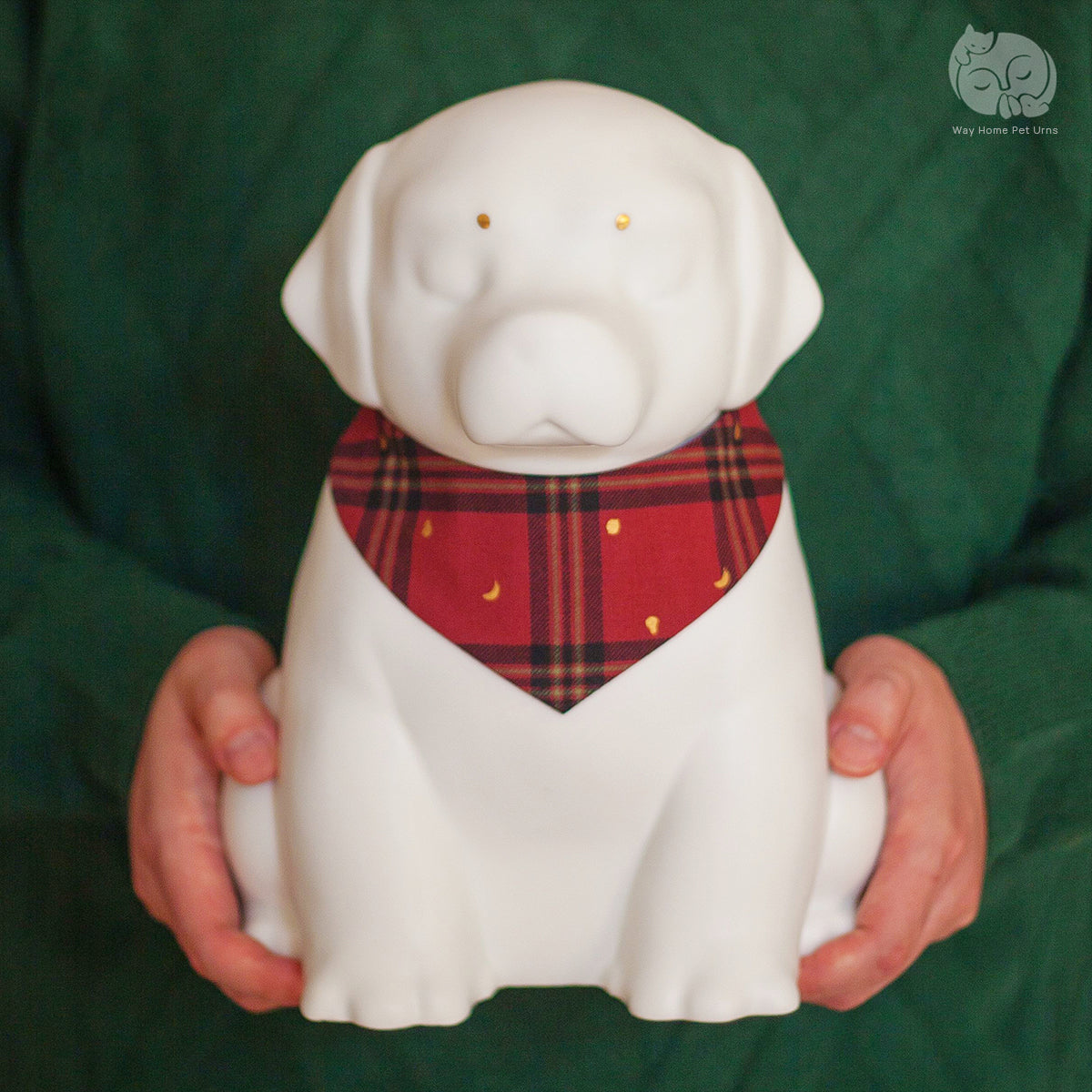 Ivory White Handmade Ceramic Urn for Dogs - Suitable for Labrador and Golden Retriever